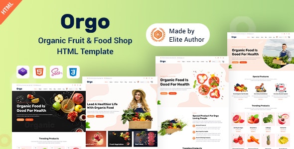 دانلود قالب HTML فروشگاهی Orgo