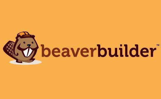 دانلود افزونه وردپرس صفحه ساز Beaver Builder Pro