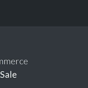 دانلود افزونه ووکامرس Point of Sale for WooCommerce