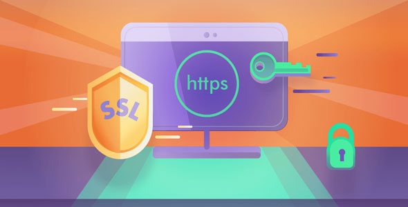 دانلود افزونه وردپرس Really Simple SSL pro