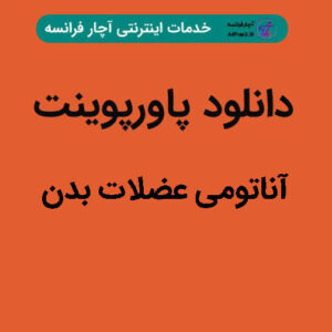 دانلود پاورپوینت آناتومی عضلات بدن