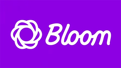 دانلود افزونه وردپرس خبرنامه Bloom