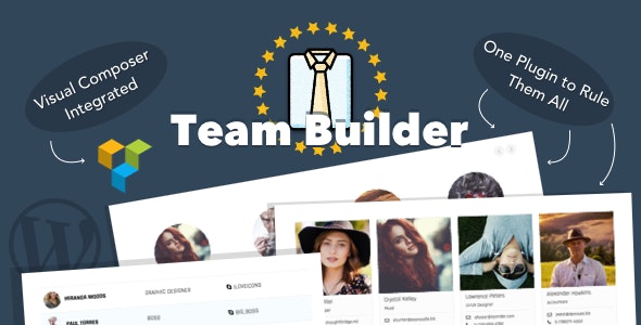 دانلود افزونه وردپرس نمایش تیم Team Builder