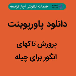 دانلود پاورپوینت پرورش تاکهای انگور برای چیله