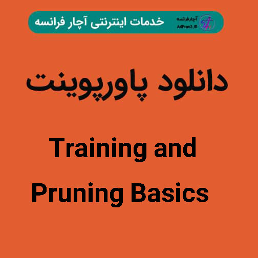 دانلود پاورپوینت Training and Pruning Basics