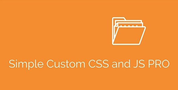 دانلود افزونه وردپرس Simple Custom CSS and JS PRO
