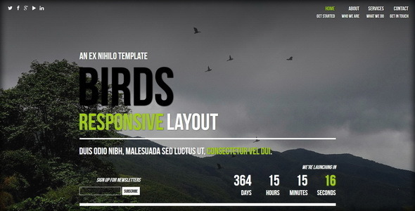 دانلود قالب HTML در دست طراحی Birds