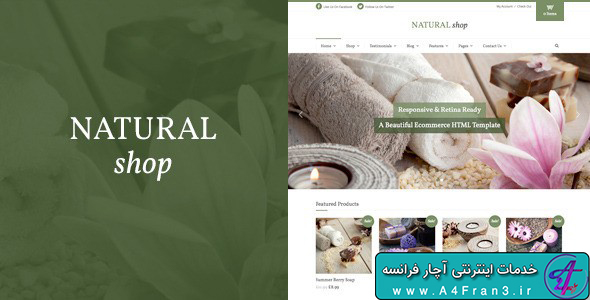 دانلود قالب HTML فروشگاهی Natural Shop