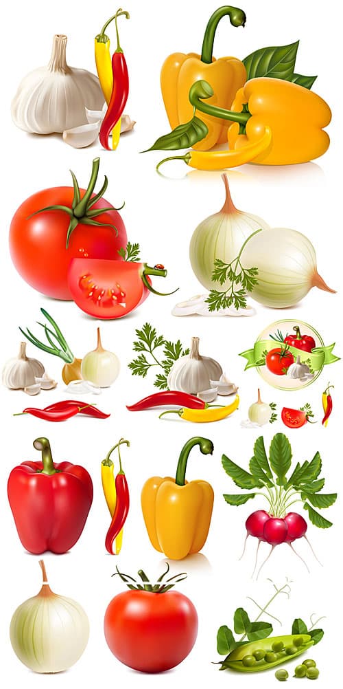 دانلود مجموعه وکتور سبزیجات پیاز سیر گوجه فرنگی
