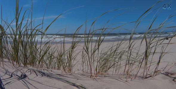 دانلود ویدیو ساحل دریا در روز آفتابی