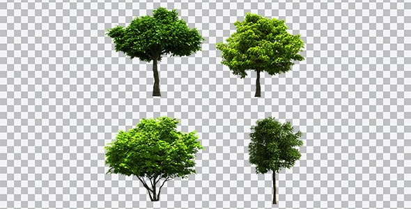 دانلود تصویر PNG درخت سبز