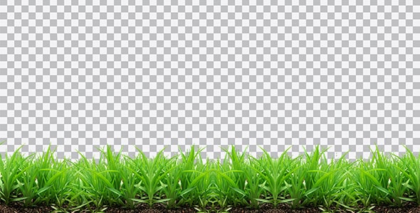 دانلود تصویر PNG چمن و سبزه کاشته شده در خاک