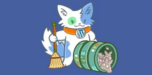 دانلود افزونه وردپرس Meow Apps Database Cleaner Pro